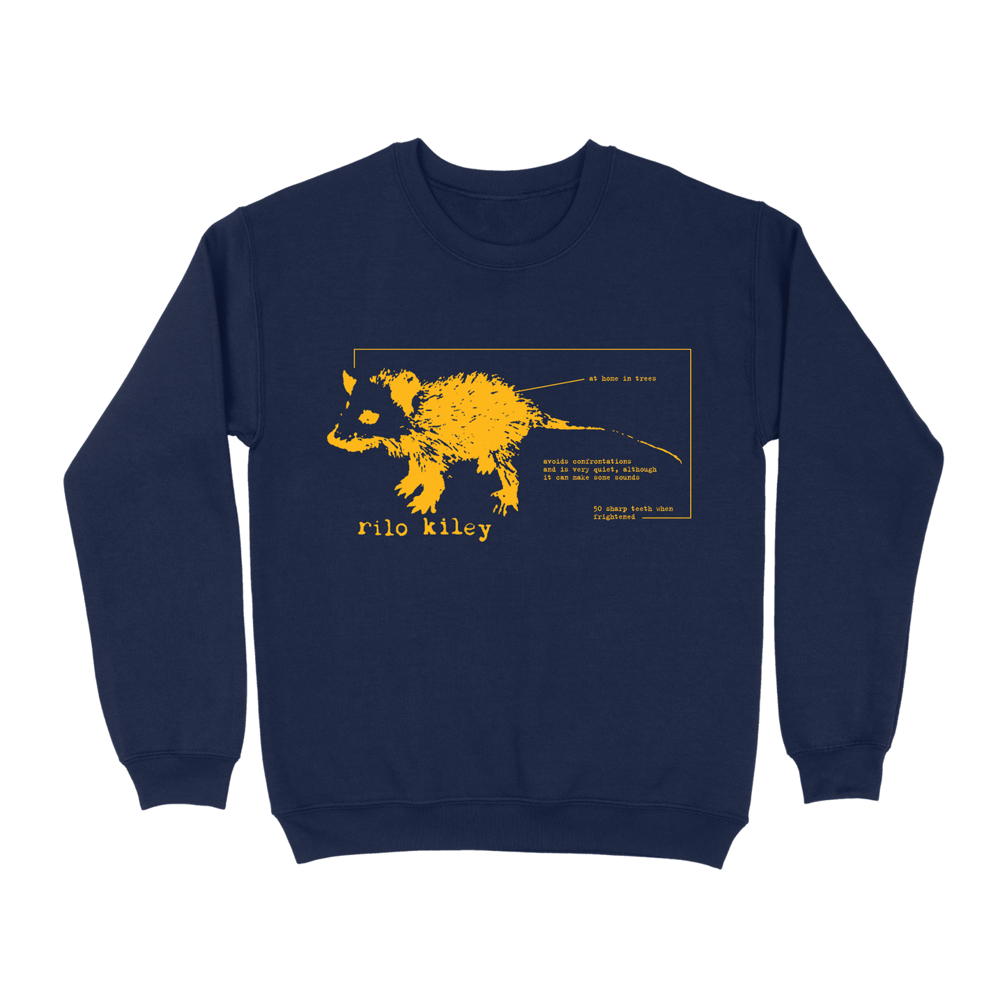 Schematic Possum Crewneck