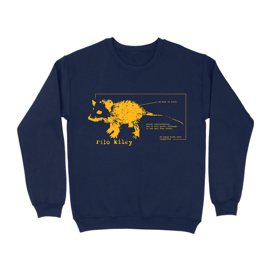 Schematic Possum Crewneck